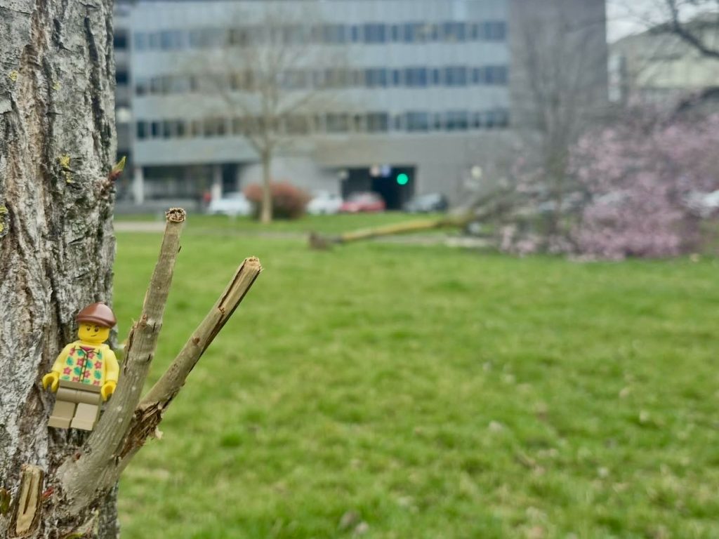 Vetrolom kot opozorilo: kako načrtujemo mestni prostor?