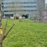 Vetrolom kot opozorilo: kako načrtujemo mestni prostor?